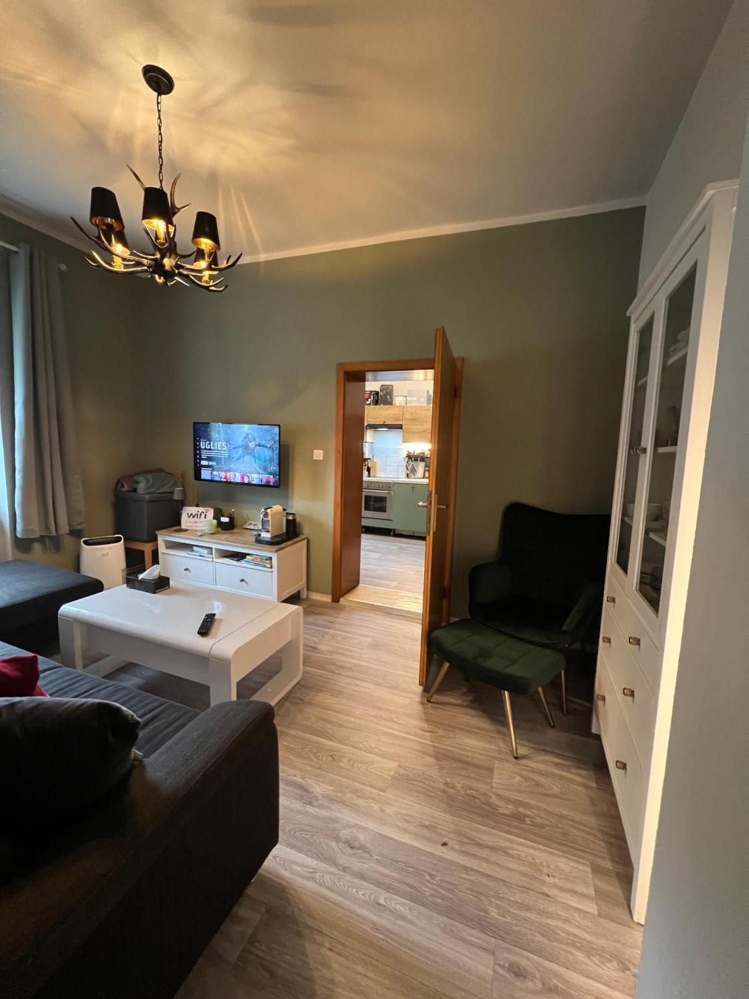 Ausseerland Apartments - Relax, Ski, Hike And Bike, Garden, Parking, Bbq, Near Hallstatt, Loser, Tauplitz And Krippenstein, Free Wi-Fi And Netflix Bad Aussee Exterior foto