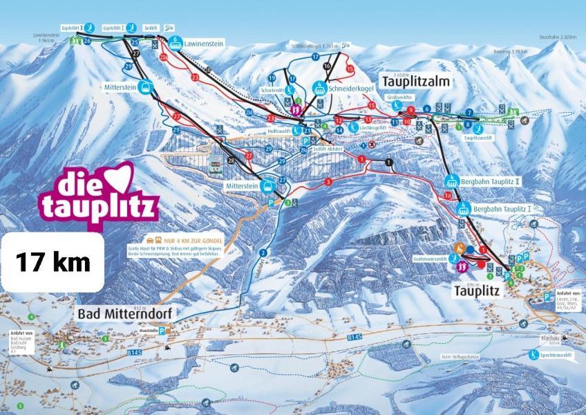 Ausseerland Apartments - Relax, Ski, Hike And Bike, Garden, Parking, Bbq, Near Hallstatt, Loser, Tauplitz And Krippenstein, Free Wi-Fi And Netflix Bad Aussee Exterior foto