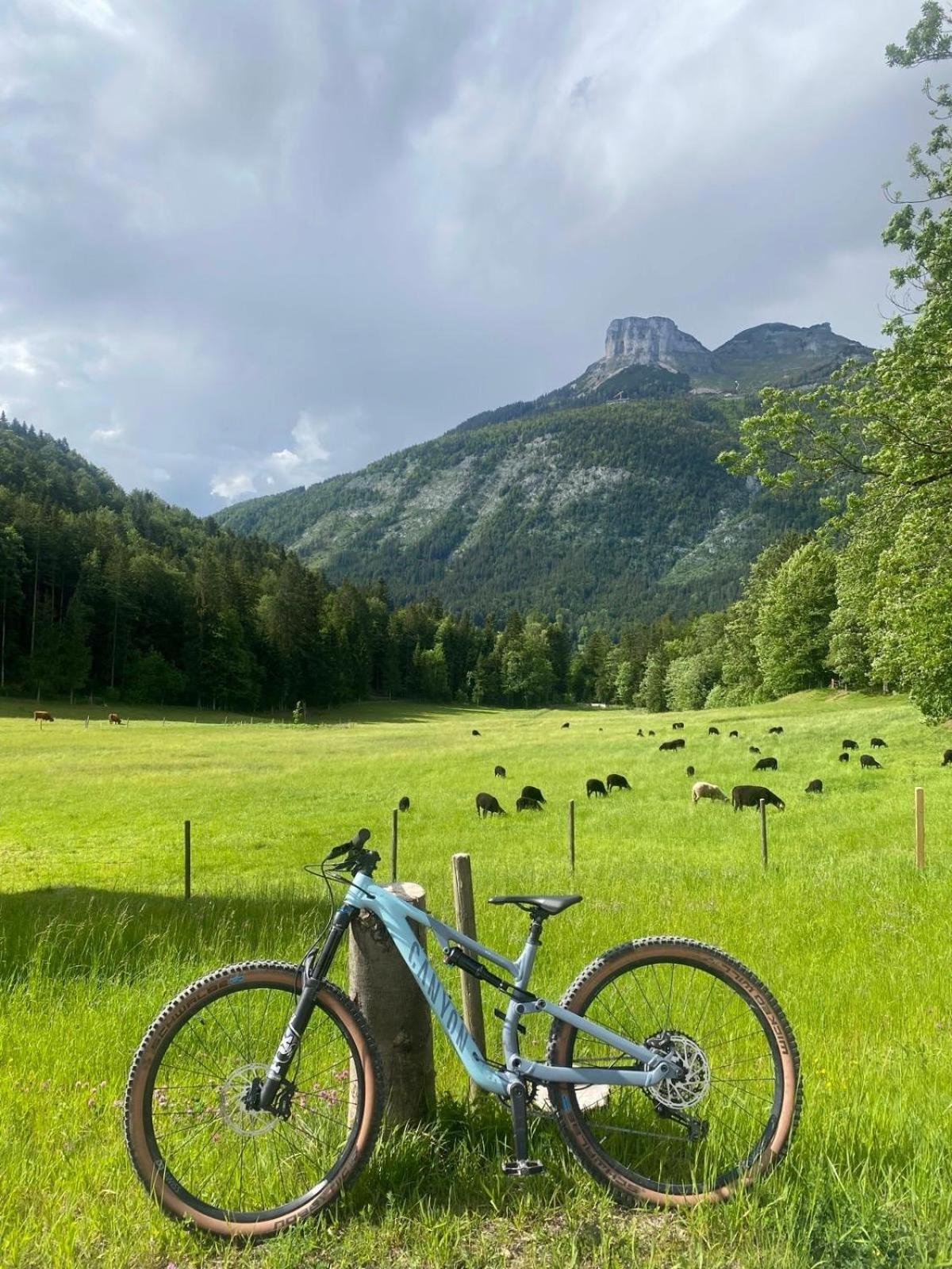Ausseerland Apartments - Relax, Ski, Hike And Bike, Garden, Parking, Bbq, Near Hallstatt, Loser, Tauplitz And Krippenstein, Free Wi-Fi And Netflix Bad Aussee Exterior foto
