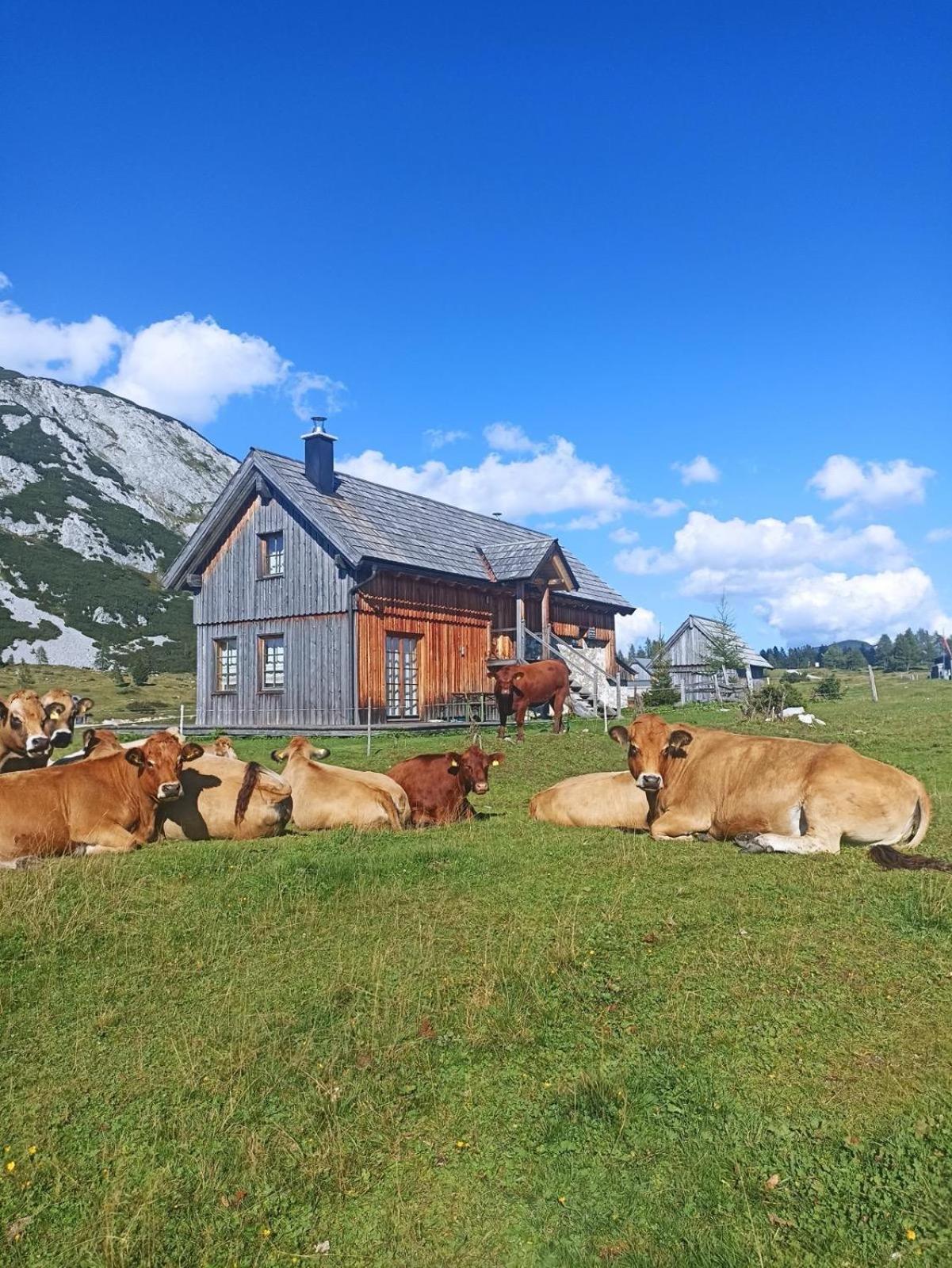 Ausseerland Apartments - Relax, Ski, Hike And Bike, Garden, Parking, Bbq, Near Hallstatt, Loser, Tauplitz And Krippenstein, Free Wi-Fi And Netflix Bad Aussee Exterior foto