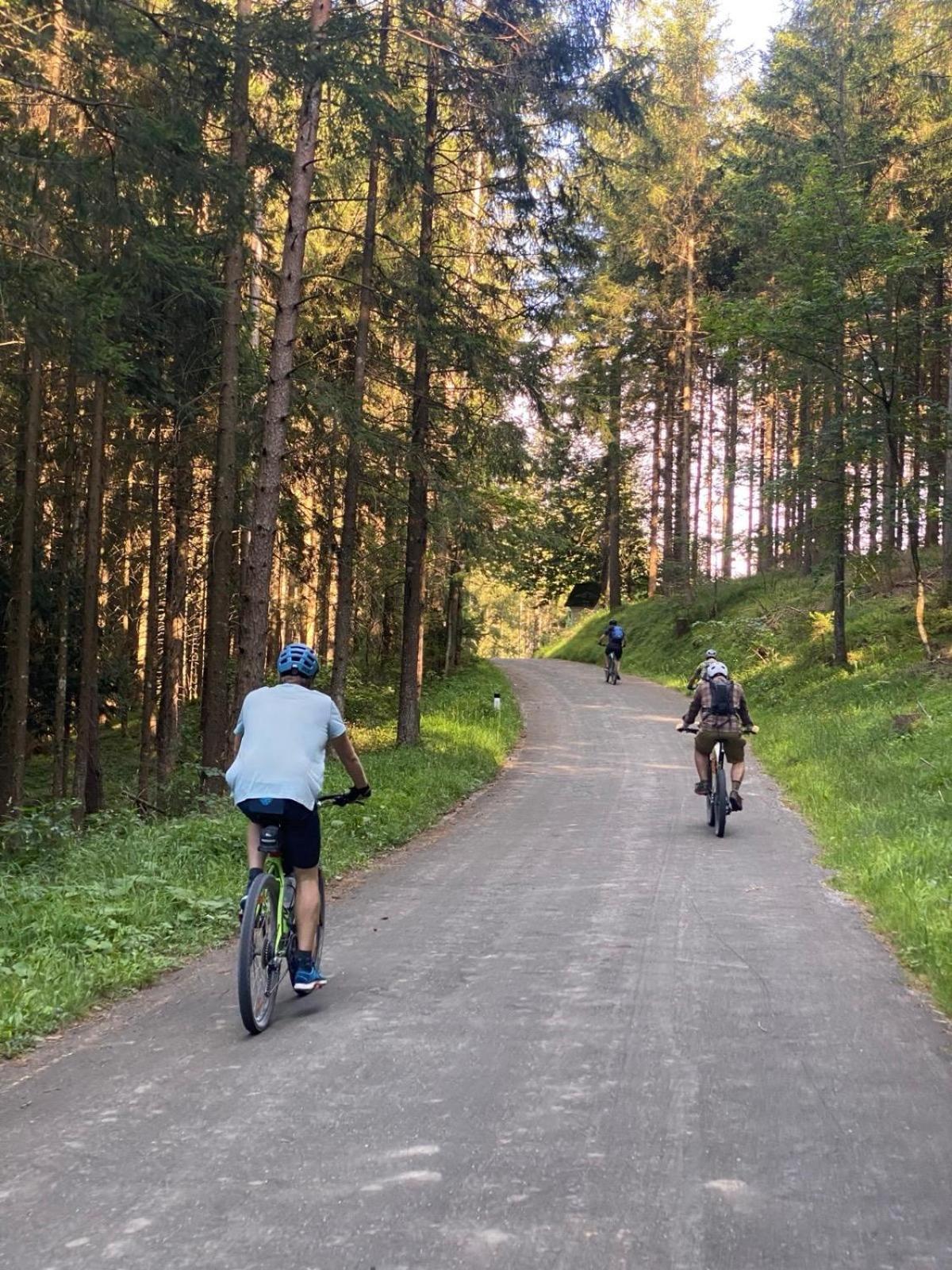 Ausseerland Apartments - Relax, Ski, Hike And Bike, Garden, Parking, Bbq, Near Hallstatt, Loser, Tauplitz And Krippenstein, Free Wi-Fi And Netflix Bad Aussee Exterior foto